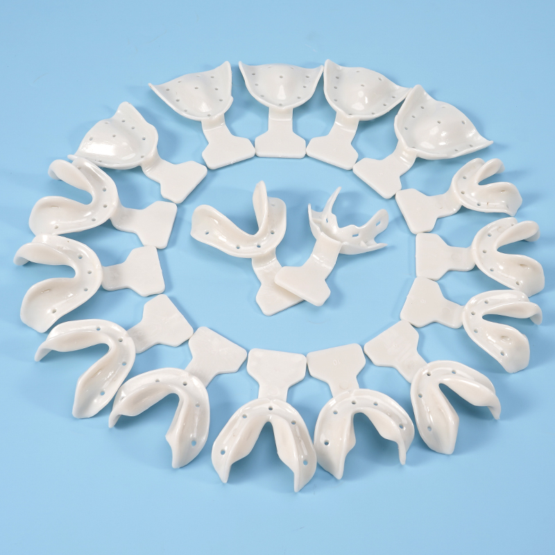 Juego de 17 bandejas de impres - Teeth Whitening Tray reseña y precio