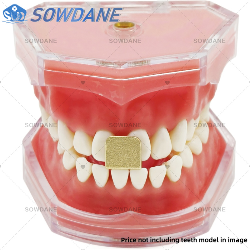 Bandejas de impresión de labor - Teeth Whitening Tray reseña y precio