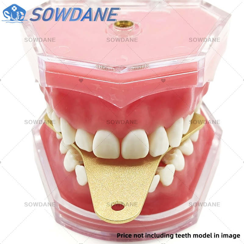 Bandejas de impresión de labor - Teeth Whitening Tray reseña y precio