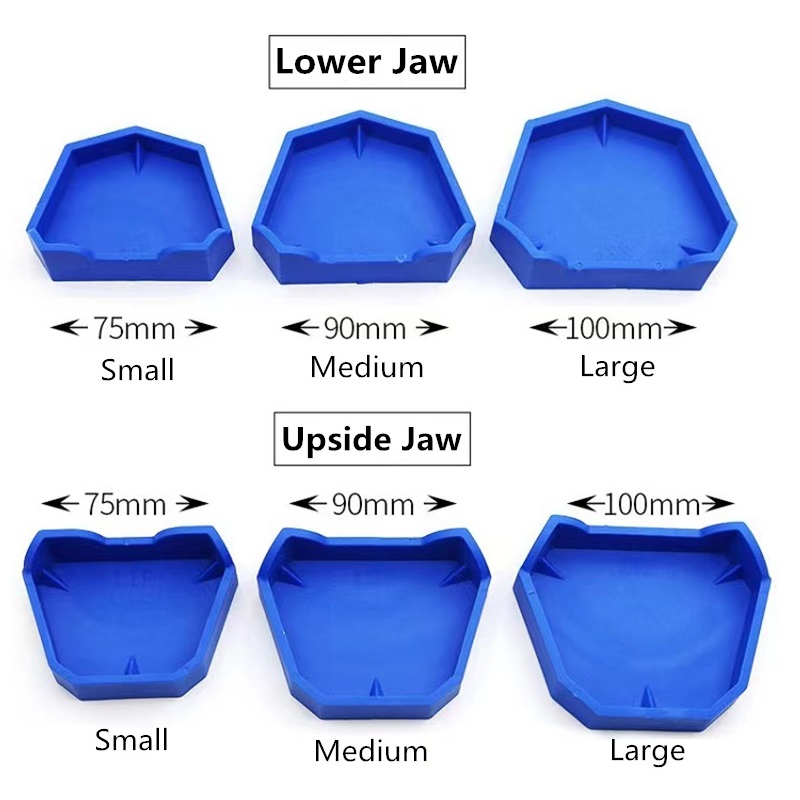 6 unids/set modelo Dental Base - Teeth Whitening Tray reseña y precio